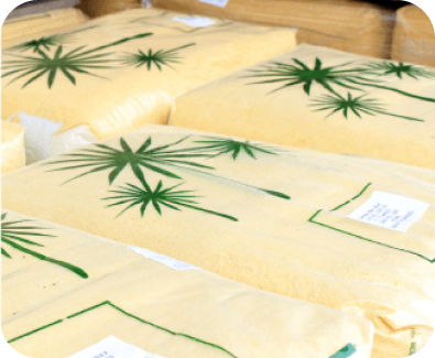 ワックスへの着目