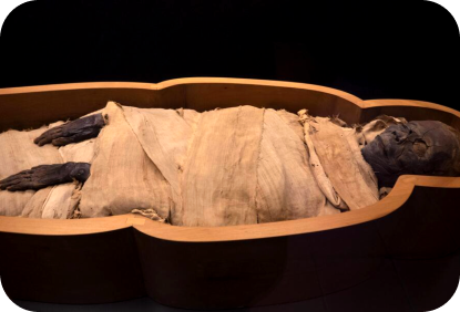 ワックスの歴史